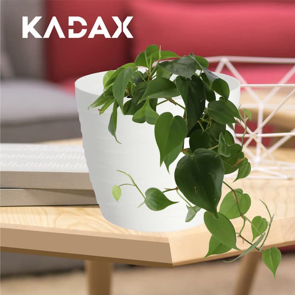 KADAX Urtepotte Plastikpotte til Blomster og Planter Hvid Rund 19 cm