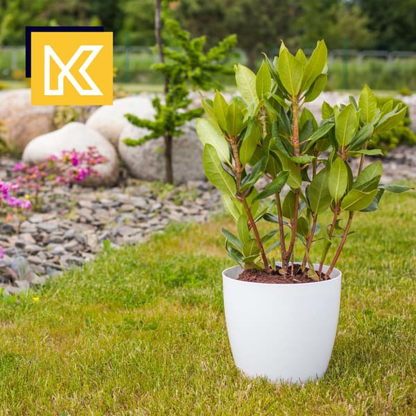 KADAX Urtepotte, Urtepottedæksel, 20 cm, Blomsterfod, Hvid Plast, 3 stk.