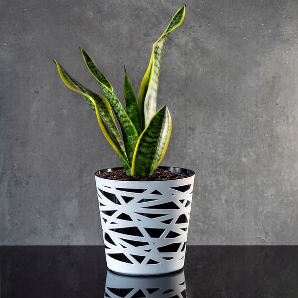 KADAX Urtepotte Plastik Lågindsats til Blomster og Planter 19 cm Sort