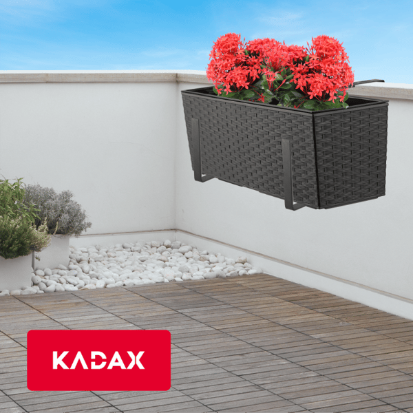 KADAX Urtepotte Balkonkasse med Indsats Blomsterfod 19x56cm + Håndtag
