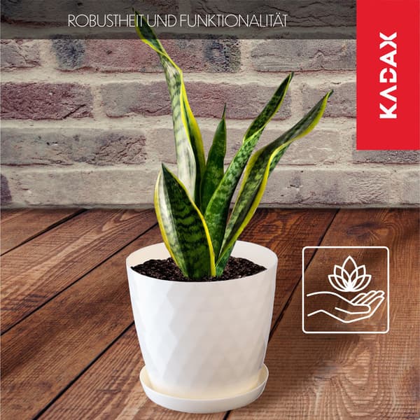 KADAX Plastik Urtepotte med Stativ, Urtepottedæksel, 20cm, Creme, Kadax