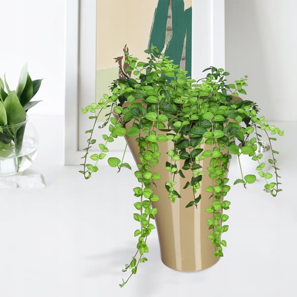 KADAX Blomkrukasskydd för blommor Blomställ Plast Beige 16,5 cm