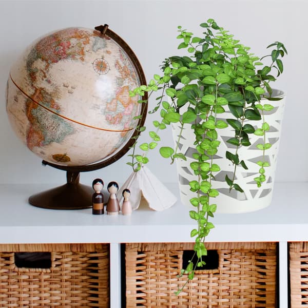 KADAX Urtepotte Plastik Lågindsats til Blomster og Planter 19 cm Grå