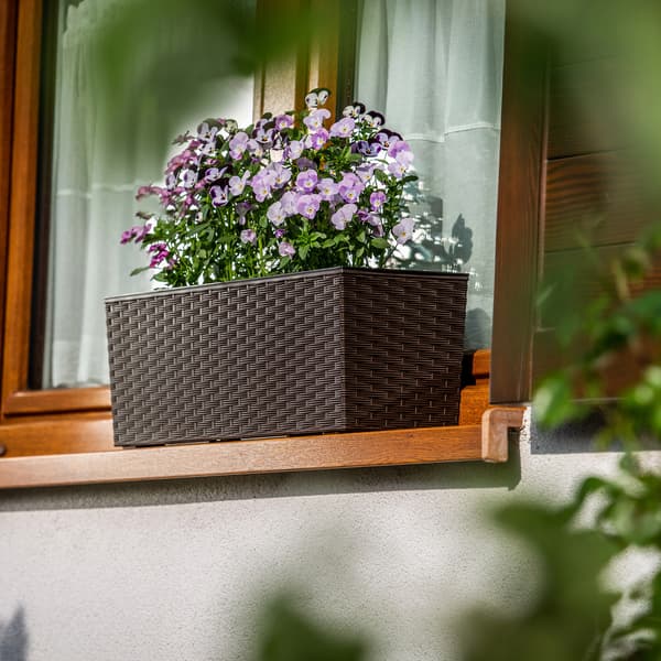 KADAX Urtepotte Balkonkasse med Indsats Blomsterstativ til Balustrade 19x56cm