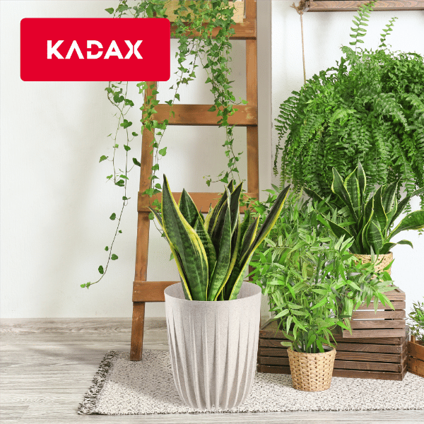 KADAX Urtepotte med Indsats 30x36cm Rund Plastlåg Indsats