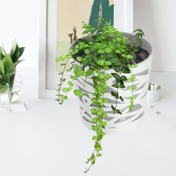 KADAX Urtepotte Plastik Lågindsats til Blomster og Planter 15 cm Grå