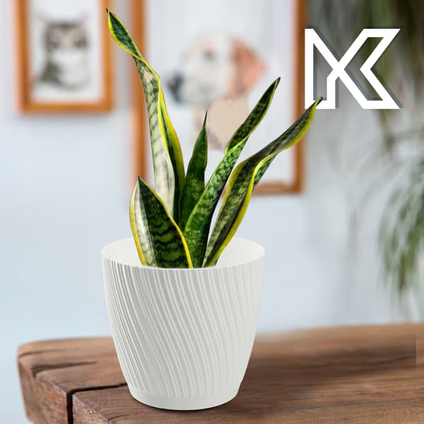 KADAX Blomkruka med blomställning, lock, rund skål, 27 cm, vit