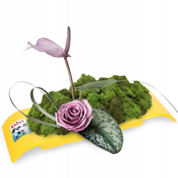 KADAX Urtepotteskjuler til Kompositioner til Dekorationer Ikebana Base Gul