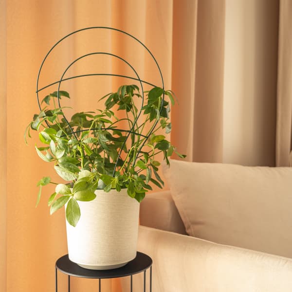 KADAX Stigestøtte til klatreplanter, blomster, metalstøtte, grøn, 3 stk.