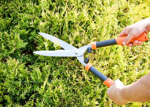 KADAX Manuell Häcksax Trädgårdssekatör 53cm Vass Lätt