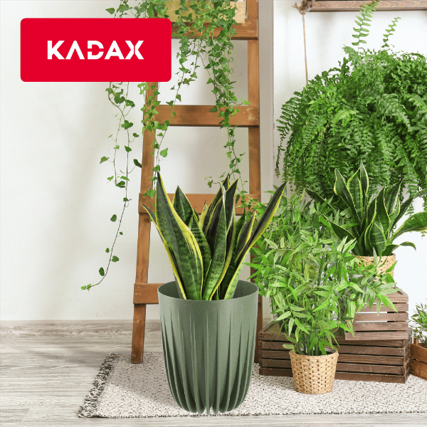 KADAX Urtepotte med Indsats 14,5x17cm Rund Plastindsats