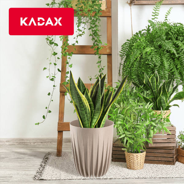 KADAX Urtepotte med Indsats 14,5x17cm Rund Plastindsats
