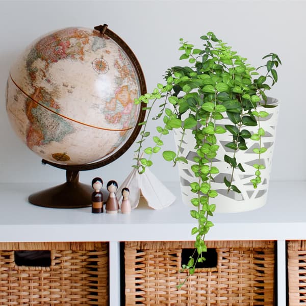 KADAX Urtepotte Plastik Lågindsats til Blomster og Planter 15 cm Grå