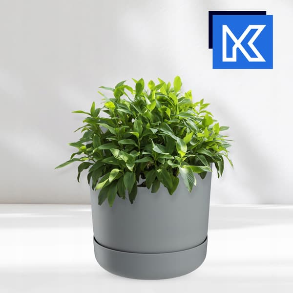 KADAX Urtepotte med Blomsterfod, Låg, Rund Skål, 17 cm, Mat Grå