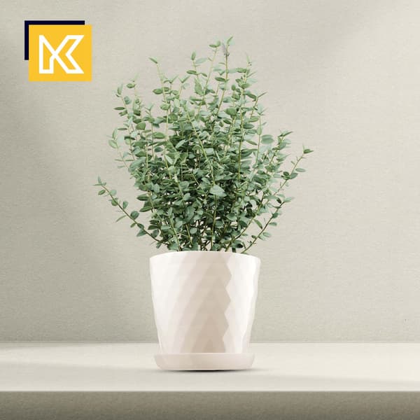 KADAX Urtepotte, Urtepottedæksel, 25 cm, Blomsterfod, Cremefarvet Plast, 3 stk.