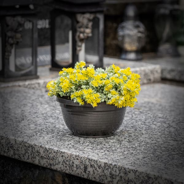 KADAX Kyrkogårdsskål Plast Gravsten Kyrkogårdsblomkruka Krysantemum 18 cm
