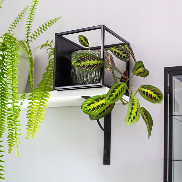 KADAX Blomsterstander Metal Loft Sort Modulære Blomsterpotter
