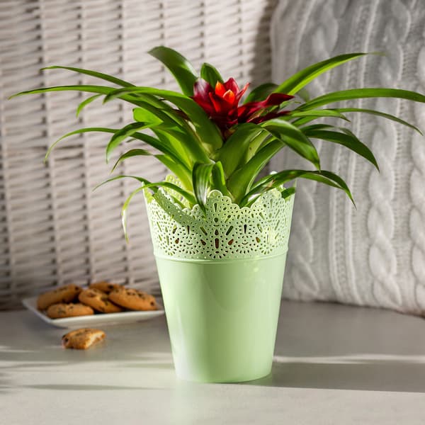 KADAX Blomkruka, Blomkruka, Lock, Hög, Plast, 12 cm, Grön