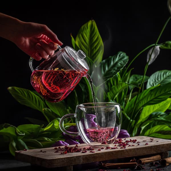 KADAX Glastekanna 600ml Insats med Tekanna Örtte