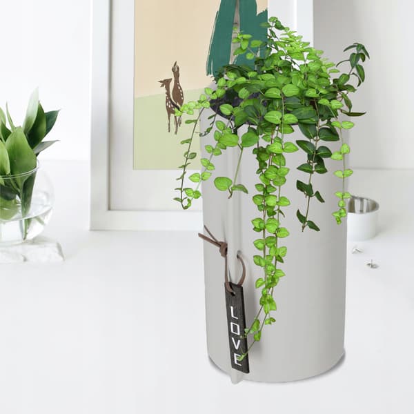 KADAX Keramik Urtepotte, Urtepotte, Rund Grå, 11 cm