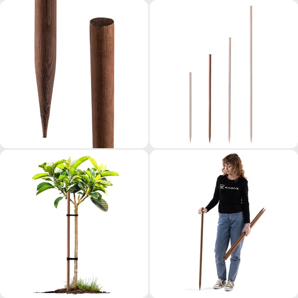 KADAX Imprægneret Træpæl 100 cm Plante Træstøttestang Dia 23 mm