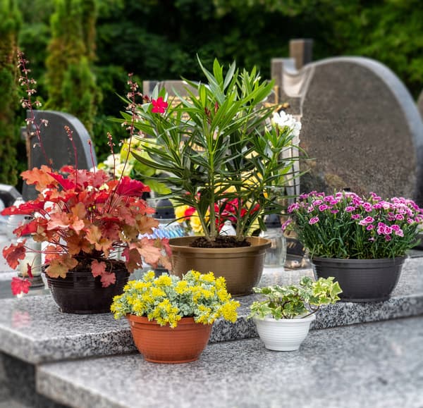 KADAX Kyrkogårdsskål Plast Gravsten Kyrkogårdsblomkruka Krysantemum 20 cm