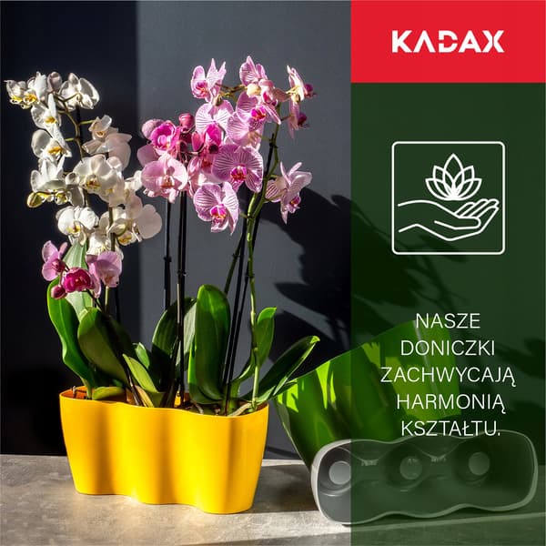 KADAX Urtepotte, Urtepotte, Plastik Urtepotte, Orkidé, 35 cm, Grå