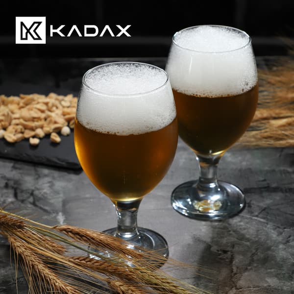 KADAX Ölmugg Glas 400ml Glasmuggar Set med 6 Presentset