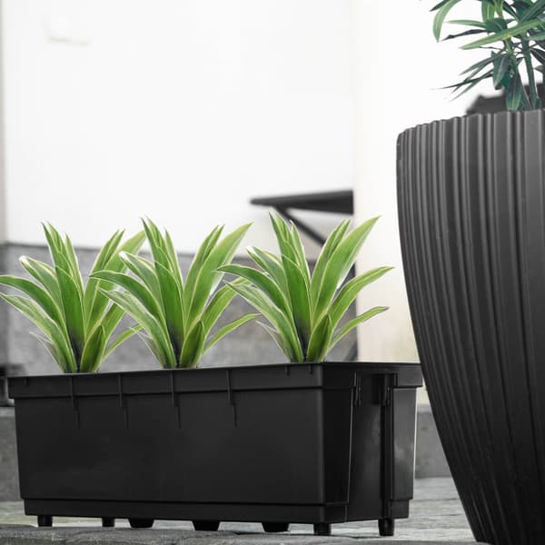 KADAX Urtepotteindsats Urtepotteindsatskasser 56x19 cm Rektangulær Universal
