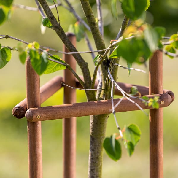 KADAX Støtte til planter, træer, buske, imprægneret støtte, trekant, stærk, 170 cm