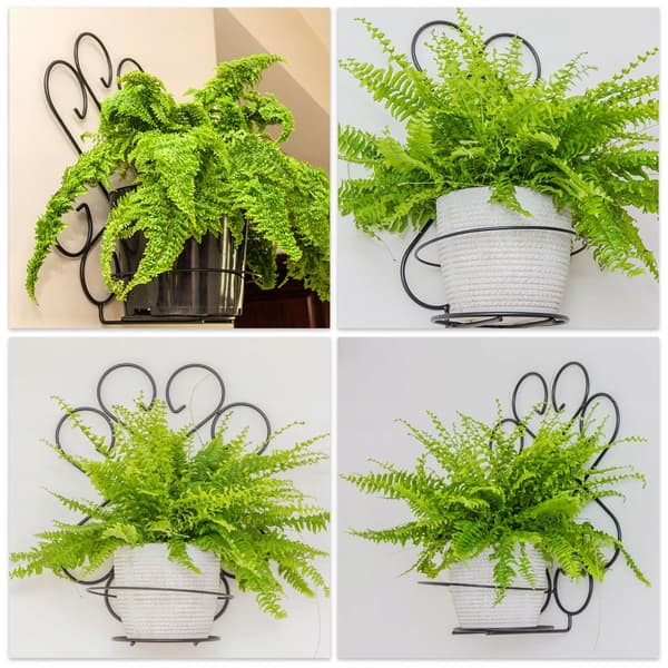 KADAX Metal væghængt blomsterstativ Loft til blomster, planter og potter