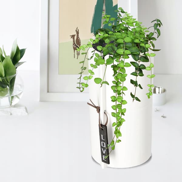 KADAX Keramik Urtepotte Hvid Urtepotte Rund Potte 11 cm