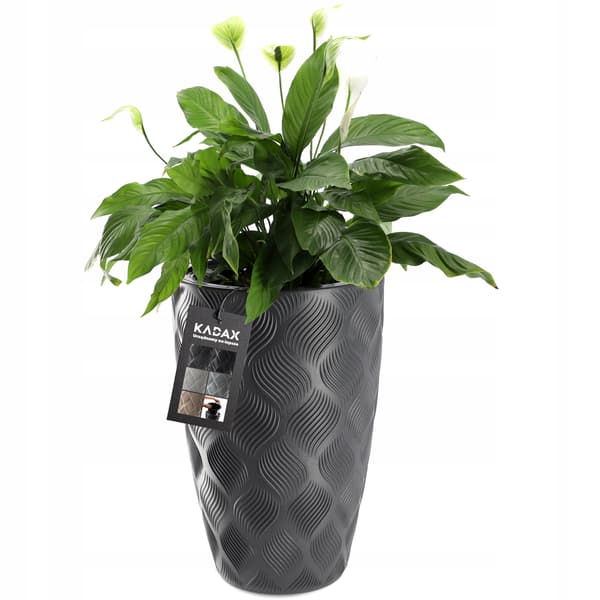 KADAX Blomkruka med insats 58 cm blomkruksskydd plast hög
