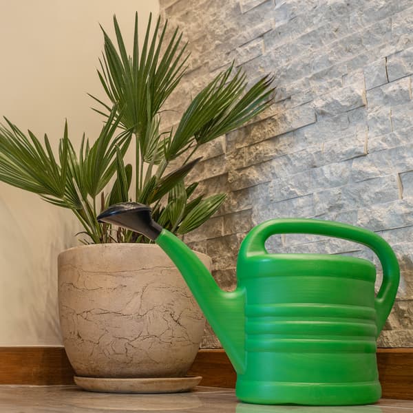 KADAX 5L vandkande til vanding af blomster og have, plastikvander
