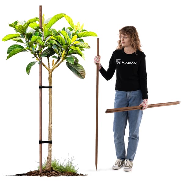 KADAX Træpæle Imprægnerede Pæle 150 cm Støttestang 5 stk. Dia 23 mm