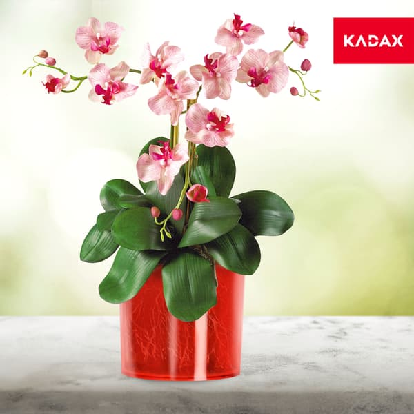 KADAX Blomkruka Rund Plastkruka 15 cm Röd