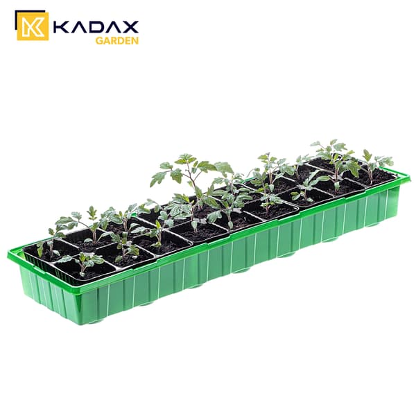 KADAX Mini drivhus Mini drivhus Drivhus 20 kamre Frøplante såbakke