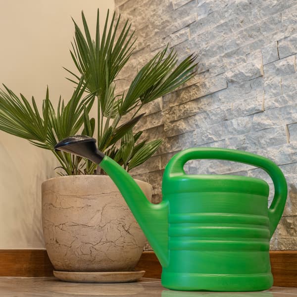 KADAX Home vandkande 10L til vanding af blomster have plastikvander