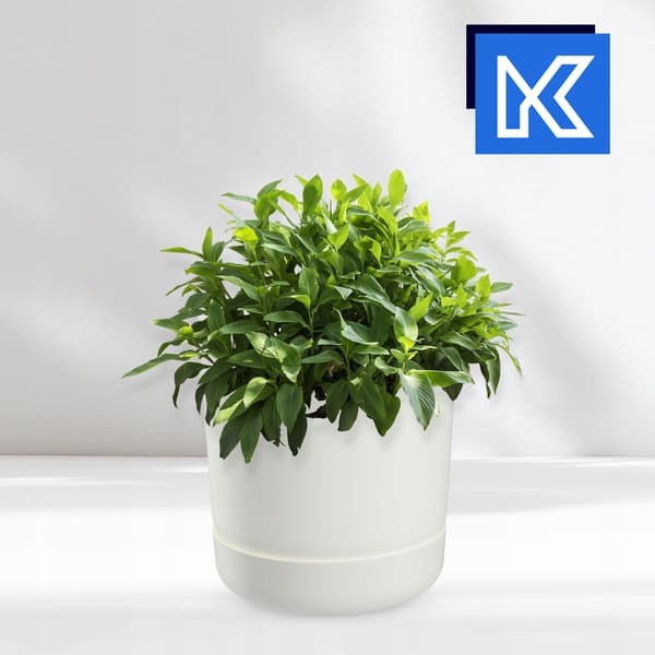 KADAX Blomkruka med blomställning, lock, rund skål, 15 cm, mattvit