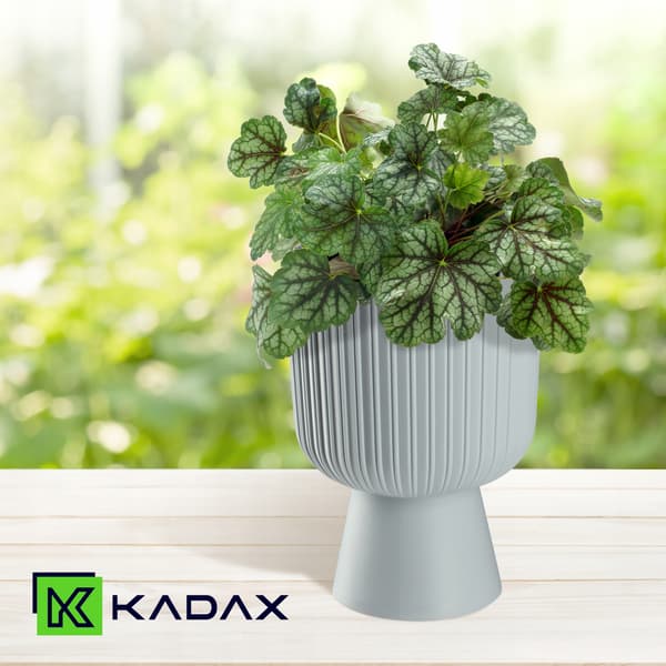 KADAX Urtepotte, Urtepotte, Græsplæne, Plastlåg, 14 cm, Blomsterfod, Grå
