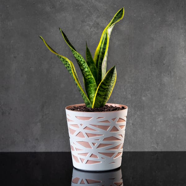 KADAX Urtepotte Plastik Lågindsats til Blomster og Planter 15 cm Beige