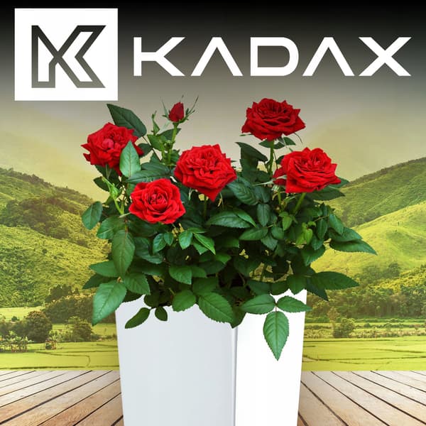 KADAX Blomkruka Trädgårdskruka + Insats 29 x 58 cm Hög Stor Vit Glansblomma
