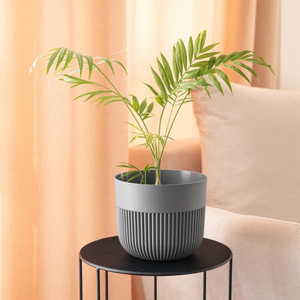 KADAX Blomkruka, Blomkruksskydd, 15 cm, Plast, Rund, Räfflad, Grå