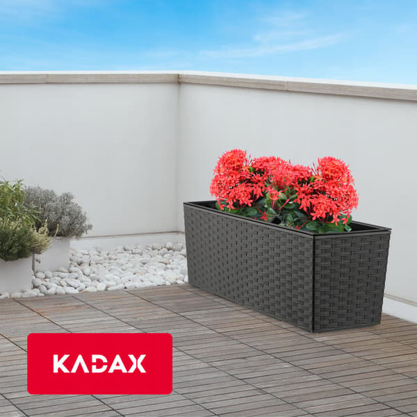 KADAX Urtepotte Balkonkasse med Indsats Blomsterstativ til Balustrade 19x56cm