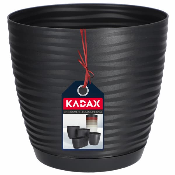 KADAX Urtepotte 15cm Rund Plastik Urtepotte Antracit