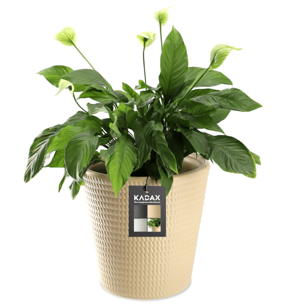 KADAX Urtepotte Plastik Rund 40 cm Beige