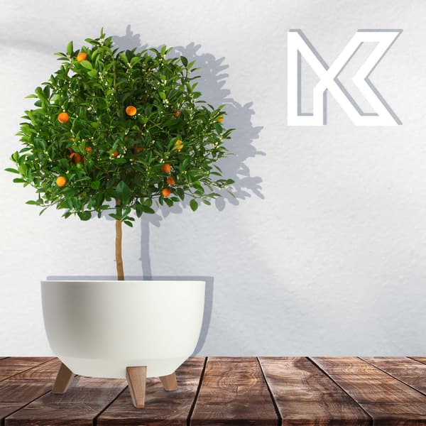 KADAX Blomkruka, Planter, Lock, Ben, Insats, Blomställning, 33cm, Vit, Rund Skål
