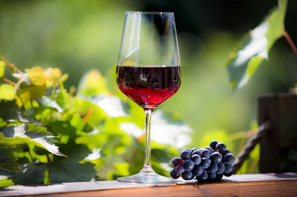KADAX Rödvinsglas och Vitvinsglas 450 ml Set med 6 glas