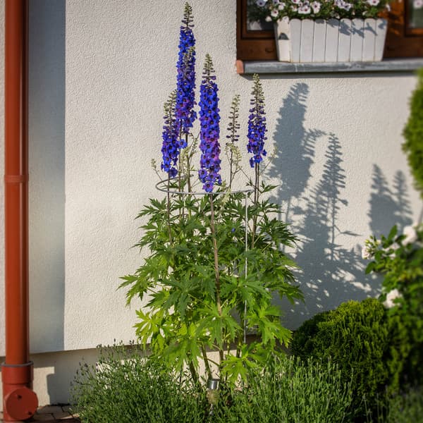 KADAX Stöd för Växter och Blommor 100 cm Stödklämma Metallbygelfäste