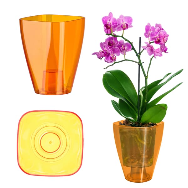 KADAX Blomkruka Orkidé Planter Plast Planter Orange 9cm